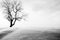 Winter landscape, isolated tree and snow. Digitally altered