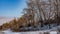 Winter landscape of the left bank of the shipping channel of the Volga hydroelectric station