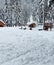 Winter landscape with lots of snow at the zoo. Group of deer in the background