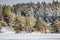 Winter landscape in a magical Swedish forest with white trees - beautiful wallpaper