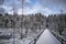 Winter landscape in a magical Swedish forest with white trees and long wooden footbridge