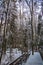 Winter landscape in a magical Swedish forest with white trees and wooden footbridge