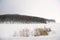 Winter landscape monochrome. Reeds at a snow-covered bay and forest in the background