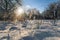 Winter landscape. Morning in the winter forest in severe frost.