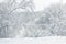 Winter landscape, Moscow, Russia. Panorama of nice trees covered fresh snow. Scenery of city park by the river after snowfall