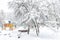 Winter landscape in Moscow, Russia. Scenery of snowy trees and playground