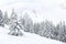 Winter landscape of mountains with of fir forest and glade in snow. Carpathian mountains