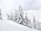 Winter landscape of mountains with of fir forest in snow. Carpathian mountains