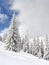 Winter landscape of mountains in fir tree forest covered hoarfrost and in snow and glade in snow. Carpathian mountains