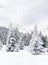 Winter landscape of mountains in fir tree forest and glade in snow. Carpathian mountains