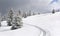 Winter landscape of mountains with of fir tree forest and glade in snow with path under forthcoming snow windstorm during snowfall