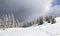 Winter landscape of mountains with of fir tree forest and glade in snow under forthcoming snow windstorm during snowfall.