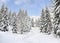 Winter landscape of mountains with path with footprints in snow following in fir forest and glade. Carpathian mountains