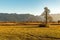 Winter landscape of the Murnauer Moos