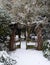 Winter landscape of the in the Musuem Gardens , York