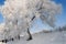 Winter Landscape in Northeast China. rime on trees