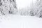 winter landscape, Orlicke Mountains, Czech Republic