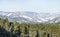 Winter landscape. Panorama of Altai Mountains. Cedar