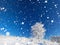 Winter landscape a panorama with blue sky, a field and one tree