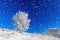 Winter landscape a panorama with blue sky, a field and one tree