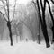 Winter landscape in the park with people passing by