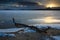 Winter landscape with pine branch on ice of lake. Ice shining