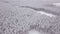 Winter landscape, pine trees covered with snow. Aerial view