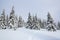 Winter landscape. Pine trees stand in snow swept mountain meadow. Footpath leads to the mysterious foggy forest. Touristic place.