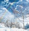 Winter, landscape and rainbow in forest with snow on trees in countryside, environment or woods. Sunshine, clouds or