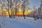 Winter landscape with red sunset in a snowy birch forest