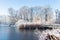 Winter landscape with reed and bridge over frozen lake covered in snow