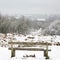 Winter landscape of Richmond Park