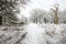 Winter landscape of Richmond Park