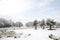 Winter landscape of Richmond Park