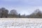 Winter landscape in Richmond Park. Cathedral tower seen from a distance