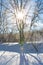 Winter landscape. Rime on the branches of trees and shrubs sparkles in the backlight of the sun.