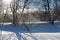 Winter landscape. Rime on the branches of trees and shrubs sparkles in the backlight of the sun.