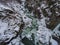 Winter landscape. River flowing in granite canyon.