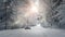 Winter landscape with road and mist. A car driving on a snowy road. The light of the setting sun shines through the branches of tr