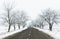 Winter landscape of a road between rime covered trees