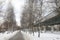 Winter landscape with a road and trees in the city against the background of the surface metro, houses on the outskirts