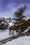 Winter Landscape in Rocky Mountain National Park