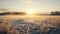 Winter Landscape In Rural Finland: Uhd Image With Golden Hues