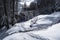 Winter landscape between Saua Baiului and Gura Diham cottage.