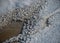 Winter landscape by the sea, snowy, interesting ice shapes on the sea shore, dunes covered with a white layer of shining snow