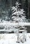 Winter landscape on the shore of a nearly frozen river