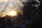 Winter landscape,sky with long shadows,Pine trees covered with snow.Beautiful winter panorama - Image