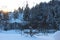 Winter landscape,sky with long shadows,Pine trees covered with snow.Beautiful winter panorama - Image