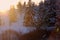 Winter landscape,sky with long shadows,Pine trees covered with snow.Beautiful winter panorama - Image