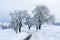 Winter landscape. Slippery snow-covered road between frost-covered trees leads to the village.